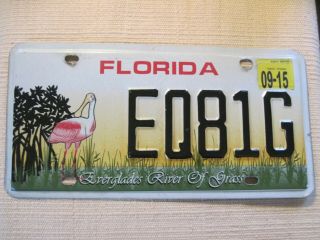 Florida Graphic License Plate.  Everglades River Of Grass.