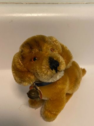STEIFF VINTAGE GERMAN DOG BAZI Sitting collar bell and Chest tag 4” 2
