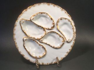 Antique White And Gold Limoges Porcelain Oyster Plate C.  1800 