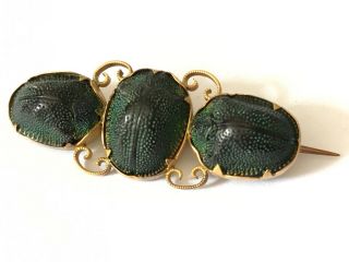 Antique 9 Ct Gold Victorian Edwardian Egyptian Revival Real Scarab Beetle Brooch