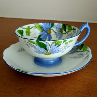 Vintage Paragon Blue Poinsettia Cup Saucer Blue Star Mark 1923 - 33
