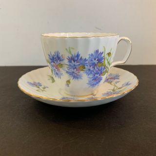 Adderley Bone China Teacup & Saucer White & Blue Cornflowers England Gold Vtg