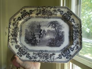 1852 Dated Huge 18 " Davenport Cyprus Platter Mulberry Print Staffordshire China