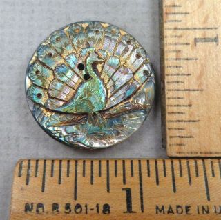 Peacock Mother - Of - Pearl Antique Button,  1800s Carved Abalone / Mop Design