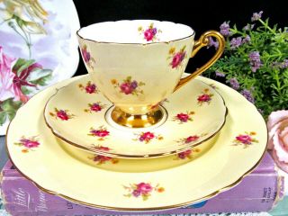 Shelley Tea Cup And Saucer Yellow Chintz Pink Rose Pattern Teacup Trio 1940 