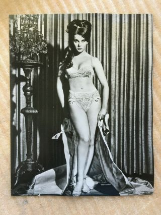 Ann Margret,  Vintage Press Bikini Headshot Photo