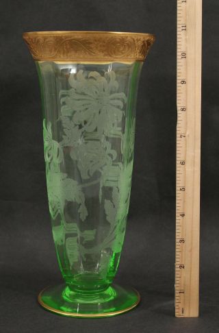 Large Antique Cambridge Vaseline Glass Etched Chrysanthemum Vase Gold Encrusted