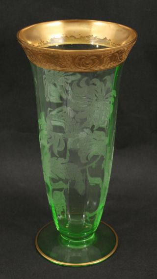 Large Antique Cambridge Vaseline Glass Etched Chrysanthemum Vase Gold Encrusted 3