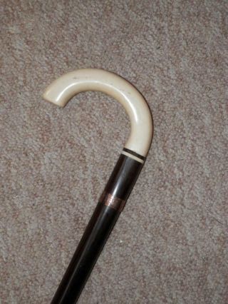 Antique Walking Stick/cane - Bovine Bone Crook Handle & Gold Plate Collar - 91cm