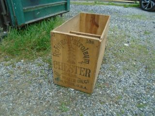 Rare Vintage Chester Oil Co York Usa Wood Crate.
