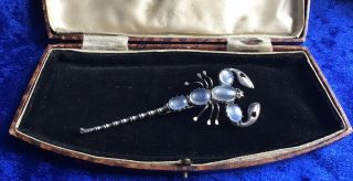 Stunning Antique Victorian Real Silver & Moonstone Gemstone Set Scorpion Brooch