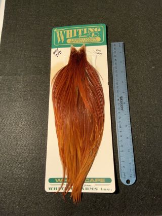 Vintage Whiting Farms Herbert Miner Pro Grade Cape Feathers Fly Tying