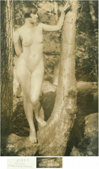 Nude Woman In Woods Large Antique Art Photo Arundel Holmes Nicholls
