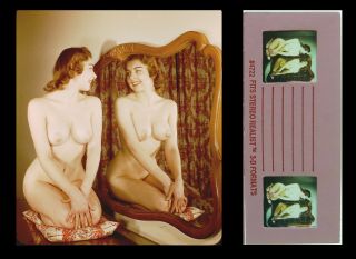 Pin - Up Vintage Vangie Johns Evangelina Nude Realist Stereo Stereoview Slide 3d