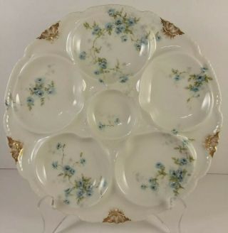 Antique Theodore Haviland Limoges Oyster Plate Blue Floral With Gold Trim 8 1/4 "