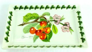 Vintage Pomona Portmeirion Biggarreux Cherry Porcelain Tray Dish Made In England