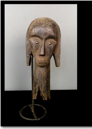 Old,  Tribally African Fang Ngil Society Head Reliquary Figure Of Gabon Bg2