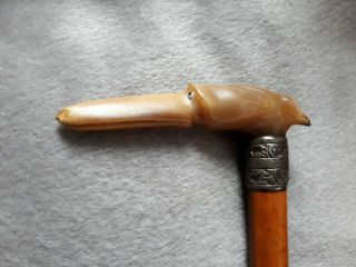 Antique Walking Stick With Hand - Carved Horn Whippet Dog Head Top - 89cm.