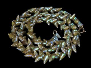 Antique Tasmanian Maireener Iridescent Shell Bead Necklace - Edwardian.
