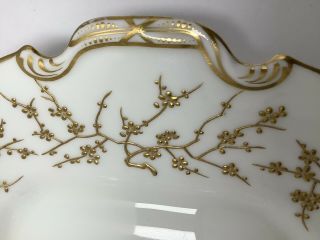 Minton Porcelain Shaped Dish Raised Gold Enamel.  Prunus Blossoms Antique England 2