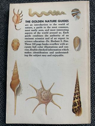 Vintage A Golden Nature Guide Seashells Of The World by Tucker Abbott,  1962 2