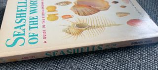 Vintage A Golden Nature Guide Seashells Of The World by Tucker Abbott,  1962 3