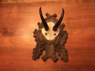 Antique Black Forest Carved Chamois Mount With Oak Leaves & Acorns