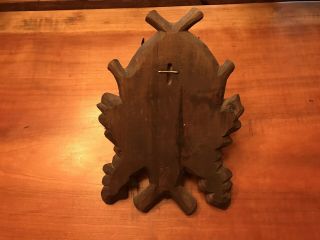 Antique Black Forest Carved Chamois Mount With Oak Leaves & Acorns 2