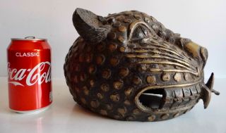 Large Old African Tribal Benin Bronze Leopard Head - Great Display Piece