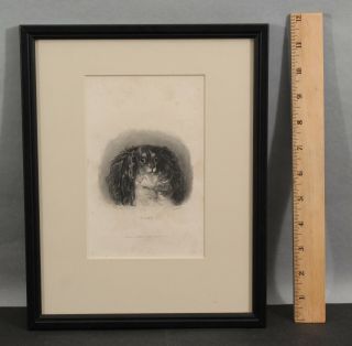 19thc Antique H Beckwith Steel Engraving Cavalier King Charles Spaniel Dog