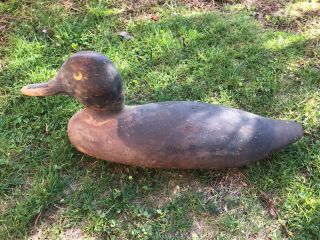 Early Antique Duck Decoy Mallard Vintage Wood Solid Oak Hand Carved Weighted