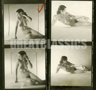 Barbara Lyle Lovely Nude Figure Model 1950s Contact Sheet Photograph Peter Basch
