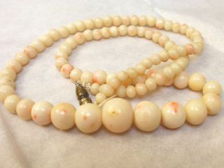 Antique Natural Undyed Angel Skin Coral Necklace,  26grams
