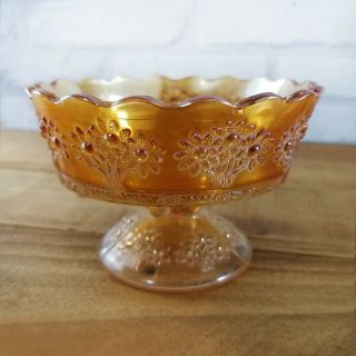Vintage Fenton Carnival Glass Orange Tree Pattern Marigold Stemmed Sherbert Dish
