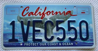 California " Whale Tale " Graphic " Protect Our Coast & Ocean ",