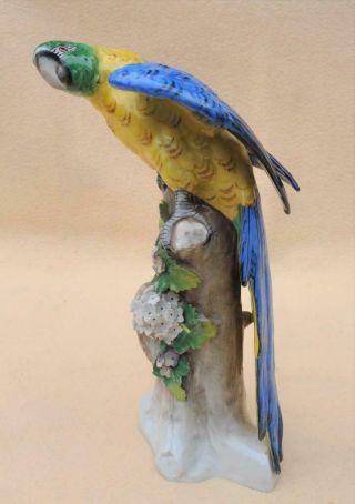 Blue Sitzendorf Antique Large " Parrot / Parakeet " Exotic Bird Figure 2