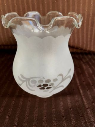 Vintage Art Deco Frosted Etched Grape Design Glass Lamp Sconce Chimney Shade