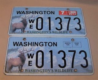 Washington State License Plate Washington 