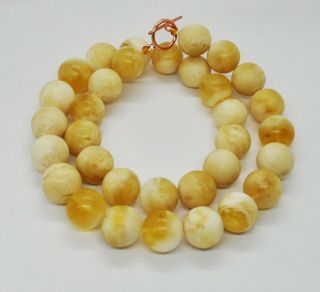 63.  80g 33bead Antique Formed White Boney Baltic Amber Butterscotch Bead Necklace