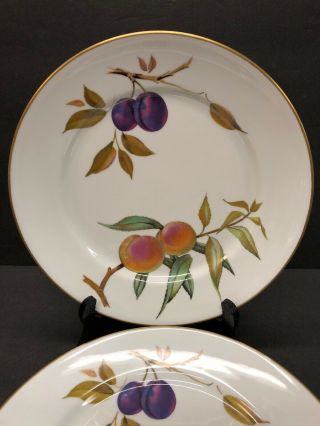 Vintage Royal Worcester Evesham 10” Dinner Plates With Gilded Edge