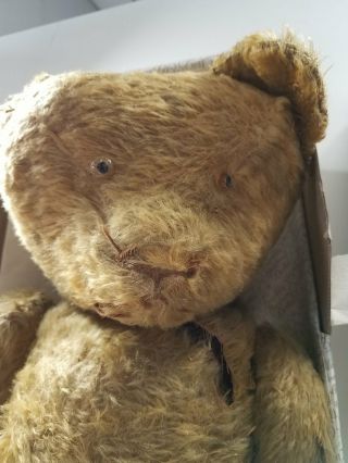 Early 1900 ' s Antique Mohair Teddy Bear P/R 2