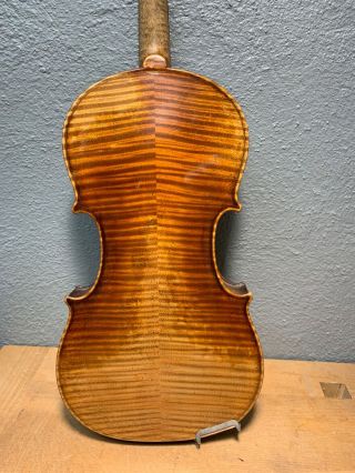 Antique Amati Violin Made In Germany