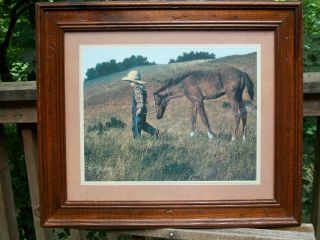 Vintage Homco/ Home Interiors Framed Picture Print Boy Leading Horse Signed