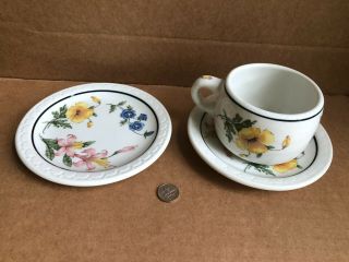 Railroad China Southern Pacific Prairie Mountain Cup & Saucer,  5 1/2 " Plate