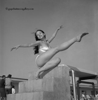 Bunny Yeager 1960s Pin - Up Negative Sexy Leggy Bikini Model Miami Beauty Contest