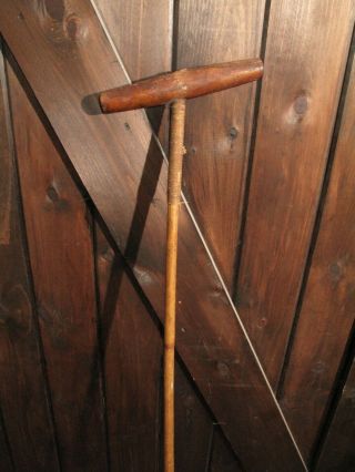 Antique Early 1900 ' s Wood Polo Mallet Bamboo Shaft 52 