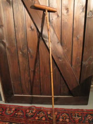 Antique Early 1900 ' s Wood Polo Mallet Bamboo Shaft 52 