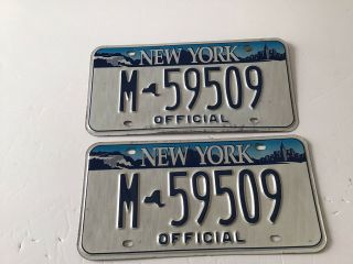Very Good Vintage Matching Set Of York State Official License Plates