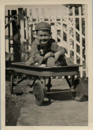 Vintage Photo Snapshot Cute Little Boy And Adorable Puppy Dog In Wagon