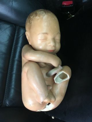 Antique Wax Human Fetus Newborn Child Anatomically Correct Hand Painted Artwork